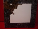 THE ORCHIDS UNHOLY SOUL SARAH RECORDS RARE LP