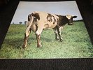 LP Pink Floyd, 