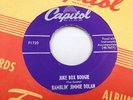 RAMBLIN' JIMMIE DOLAN 
