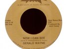 GERALD WAYNE Now I Can See on Starr Modern Soul 45 Hear