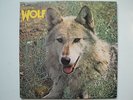 DARRYL WAY`S WOLF Canis Lupus (Deram) Curved Air RARE UK 1st Pressing MINT-