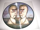 PINK FLOYD-THE DIVISION BELL-LTD EDT PICTURE DISC,ORIGINAL
