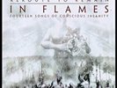 IN FLAMES - Reroute To Remain [Ltd.LP] (LP)