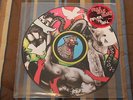 Yeah Yeah Yeahs - Fever To Tell Picture Disc RARE