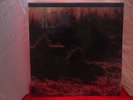 REM Murmur MFSL Vinyl LP #1906 NEW SEALED