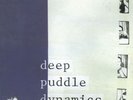 Anticon 2x Vinyl  - Deep Puddle Dynamics – The Taste Of Rain.. Why Kneel RARE