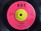 Popcorn Rockabilly 45 LARRY HALL Lovin' Tree/Sandy Hot HEAR 1st Issue?