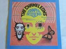 THE CHAMELEONS john peel sessions LP UK IMP STRANGE FRUIT post punk dreampop