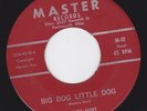 HARVEY HURT 45 Big Dog Little Dog MASTER Label M-10 VG+ RARE ROCKABILLY