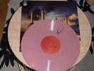 Pink Floyd ANIMALS pink vinyl NEW lp DAVID GILMOUR roger waters