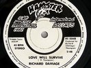 Richard Damage RARE CA POWER-POP PUNK '82 b/w minimal synth kbd ?HEAR