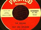 Funk Soul CALIF SOUL EXPLOSION The Feeling Pashlo WYLIE TRASS BAY AREA HEAR