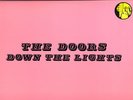 2-LP  THE DOORS live DOWN THE LIGHTS (TAKRL release )