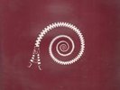 UNZIPPING THE ABSTRACT various LP 15 track light edgewear, 4 inserts which are 3