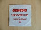 GENESIS I know what I like Mega rare Fench PROMO 7