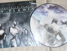 In Flames - Reroute To Remain - Picture Vinyl - MINT