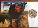 Blink 182 - Dude Ranch Original 1997 Vinyl LP