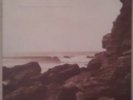 Polygon Window (Aphex Twin) Vinyl 2LP Surfing On Sine Waves 1993 WARP Records)