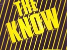 THE KNOW *I LIKE GIRLS/ OUT OF REACH* PLANET 1980 PUNK