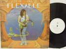 STEVE VAI - Flexable LP (RARE White Label PROMO w/Steve Vai Newsletter, AKASHIC)
