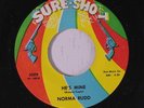 NORMA RUDD: He's Mine / Something Keeps Telling Me 45 rare Soul