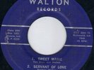 KILLER WALTON ROCKABILLY / HILLBILLY BOP - THE VAN BROTHERS  HEAR