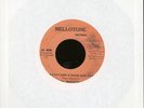 THE IMMORTALS - YOU CAN'T KEEP A GOOD MAN DOWN - REGGAE 45 RPM  - JAMAICA IMPORT