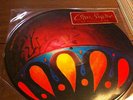 Circa Survive On Letting Go 12