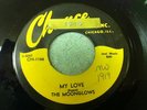 The Moonglows My Love & The Flamingos September Song 45 Chance 1166