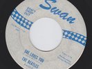 rare Beatles Swan white label 45/SHE LOVES YOU/I'LL GET YOU/blue print/excellent