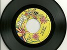 VELVET HAMMER Party Hardy b/w Happy  STOCK 45  M-