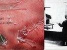 Exkurs: Fakten Sind Terror (LP 1981 +OIS 