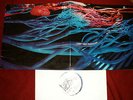 HAIRY CHAPTER - LP - CAN´T GET THROUGH - KLAPPCOVER -