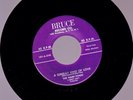 Very scarce 1956 BRUCE label 101 THE HARPTONES 
