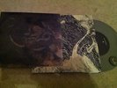 Wayfarer & Rot In Hell split 7