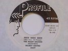 THE NIGHT RAIDERS feat MICKEY HAWKS   ROCKABILLY HIDI HIDI on PROFILE   HEAR IT