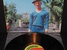 Original Greensleeves 1st.Pressing  YELLOWMAN Mister LP  Reggae  Dancehall  Dub