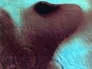 Pink Floyd Meddle MFSL Limited Edition 0176