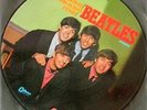 THE BEATLES PLEASE PLEASE ME LP PICTURE DISC IMPORT