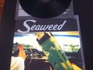 Seaweed Spanaway LP Vinyl Record