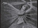 NEUTRAL MILK HOTEL VINYL BOX SET 2011 NEW SEALED LP