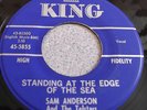 Sam Anderson- Standing At The Edge Of The Sea- King hear