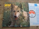WOLF - CANIS LUPUS LP UK 1st Deram Darryl Way Curved Air Marillion Prog SUPERB