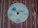 BLONDIE - DENIS / CONTACT IN RED SQUARE , ZIMBABWE 7
