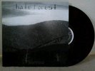HATE FOREST 