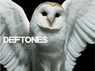 DEFTONES 