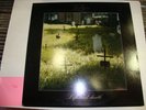 PAUL CHAIN LIFE AND DEATH RARE ITALIAN METAL LP DEATH SS DOMINE