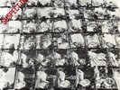 STIFF LITTLE FINGERS *SUSPECT DEVICE* RIGID DIGITS 1978 PUNK