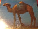 Pleasure-Dust Yourself Off FUNK/BREAKS/ORG FANTASY LBL