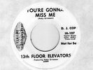 U.S.A.KILLER GARAGE 45.13th FLOOR ELEVATORS - YOU'RE GONNA MISS ME. (LISTEN)